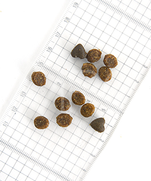 フォルツァ10 CAT リナールアクティブ（腎臓ケア療法食）