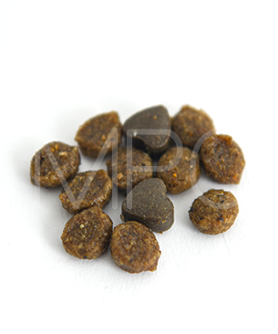 フォルツァ10 CAT リナールアクティブ（腎臓ケア療法食）