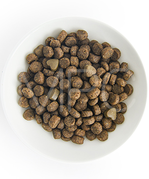 フォルツァ10 CAT ハイポアレルジェニックアクティブ（皮膚被毛ケア療法食）