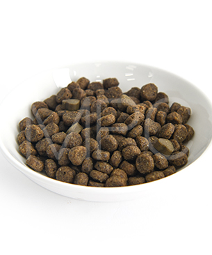 フォルツァ10 CAT ハイポアレルジェニックアクティブ（皮膚被毛ケア療法食）