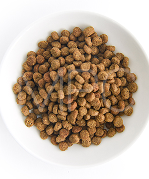 ゴー CAT 毛玉＋下部尿路ケア チキン