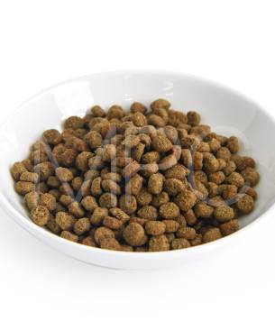 ゴー CAT 毛玉＋下部尿路ケア チキン