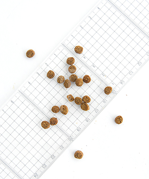 ゴー CAT 毛玉＋下部尿路ケア チキン お試しミニサイズ