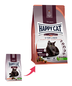 ハッピーキャット ステアライズド
