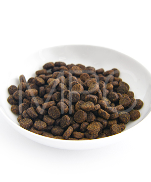 ルーシーペット CAT サーモン・パンプキン＆キヌア