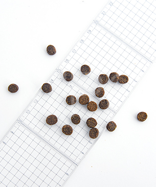 ルーシーペット CAT サーモン・パンプキン＆キヌア