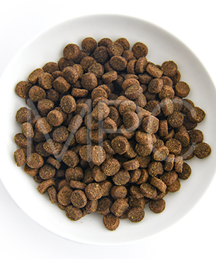 ルーシーペット CAT チキン・ブラウンライス＆パンプキン