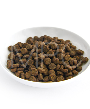 ルーシーペット CAT チキン・ブラウンライス＆パンプキン