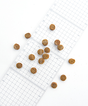 ルーシーペット【40％オフ】CAT スーパーフード ウルトラリデュースカロリー キャット 1kg