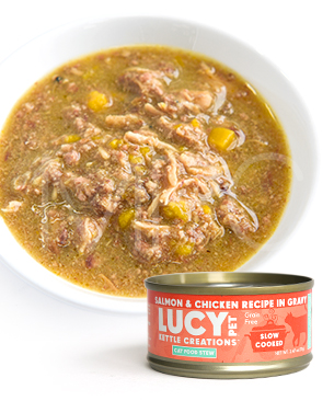 ルーシーペット CAT キャットシチュー サーモン&チキン 70g