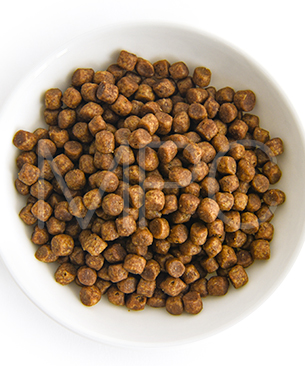 ナウフレッシュ CAT グッドグレービー アダルトキャット チキンレシピ