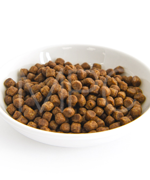 ナウフレッシュ CAT グッドグレービー アダルトキャット チキンレシピ