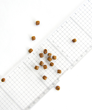 ナウフレッシュ CAT グッドグレービー アダルトキャット チキンレシピ