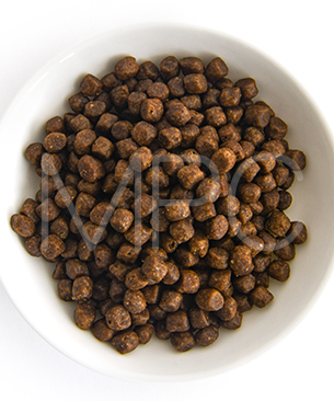 ナウフレッシュ CAT グッドグレービー アダルトキャット サーモンレシピ