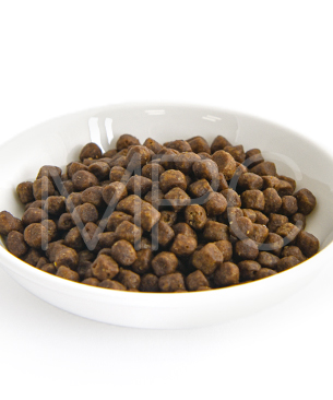 ナウフレッシュ CAT グッドグレービー アダルトキャット サーモンレシピ