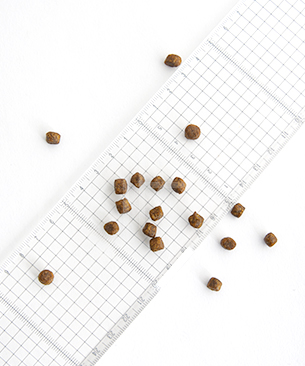 ナウフレッシュ CAT グッドグレービー アダルトキャット サーモンレシピ