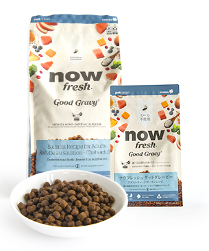ナウフレッシュ CAT グッドグレービー アダルトキャット サーモンレシピ