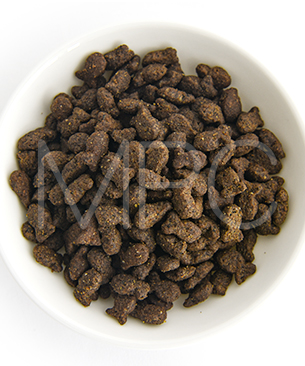 オーナット CAT グレインフリー プライム 避妊去勢 フィッシュ