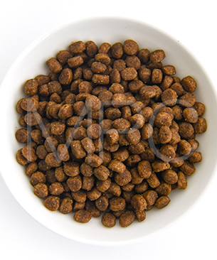 プレスティージ CAT キトン with フィッシュ