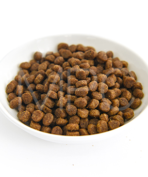 プレスティージ CAT キトン with フィッシュ