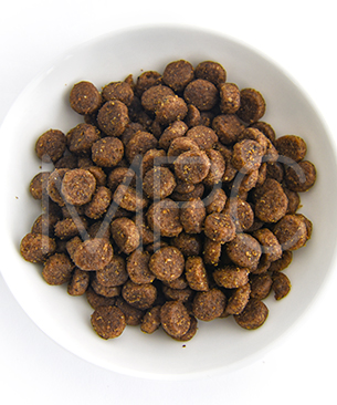 プレスティージ CAT アダルト with ターキー