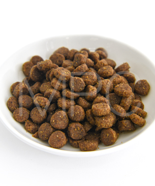 プレスティージ CAT アダルト with ターキー