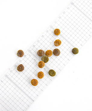 プレスティージ CAT アダルト 3種のミックス粒