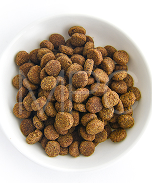 プレスティージ CAT アダルト 避妊去勢 with フィッシュ