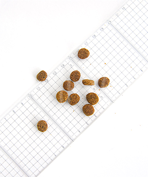 プレスティージ CAT アダルト 避妊去勢 with フィッシュ