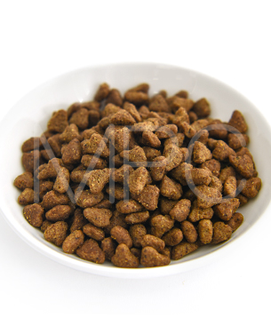 プレスティージ CAT エイジングケア 避妊去勢 with チキン