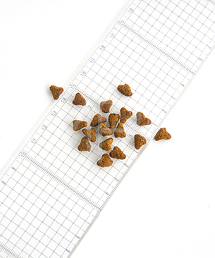 プレスティージ CAT エイジングケア 避妊去勢 with チキン