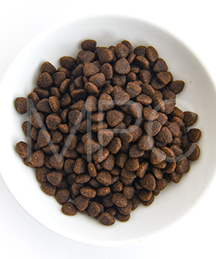 シグネチャー7 CAT アンセストラルダイエット ダイジェスティブチキン