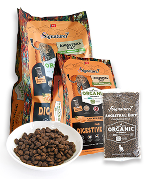 シグネチャー7 CAT アンセストラルダイエット ダイジェスティブチキン