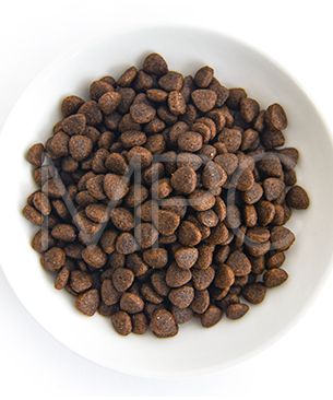 シグネチャー7 CAT アンセストラルダイエット ユリナリーサーモン