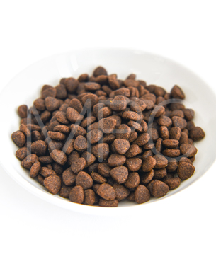 シグネチャー7 CAT アンセストラルダイエット ユリナリーサーモン