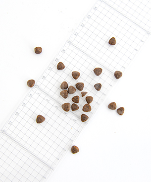 シグネチャー7 CAT アンセストラルダイエット ユリナリーサーモン