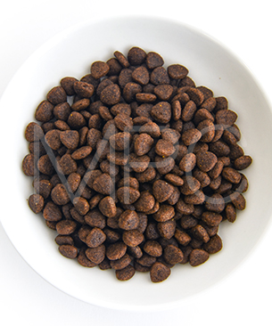 シグネチャー7 CAT アンセストラルダイエット イミューンチキン