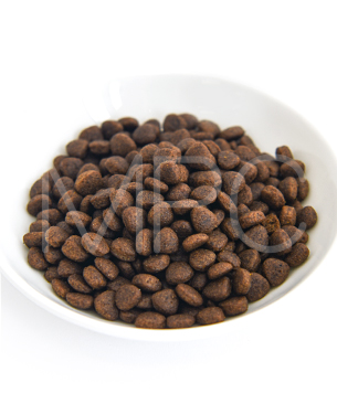 シグネチャー7 CAT アンセストラルダイエット スキン＆コートサーモン