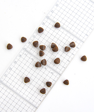 シグネチャー7【数量限定品】CAT アンセストラルダイエット スキンコート&サーモン 1.6kg ミーティートリーツ付き