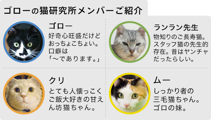 猫のトイレのしつけ方 子猫のトイレトレーニング編 プレミアムキャットフード専門店 Tama