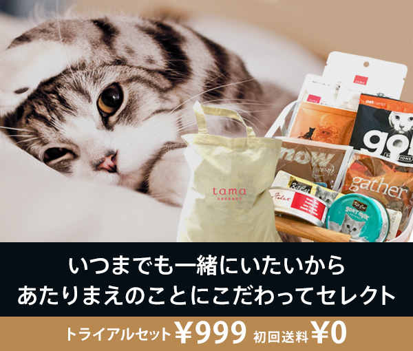 公式】プレミアムキャットフード専門店「たまのおねだり（tama