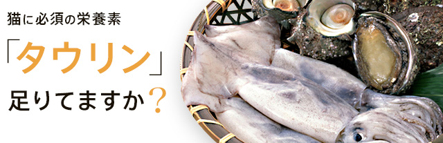 猫の必須の栄養素 タウリン プレミアムキャットフード専門店 Tama