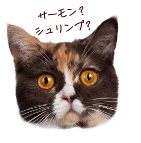 サーモン？シュリンプ？