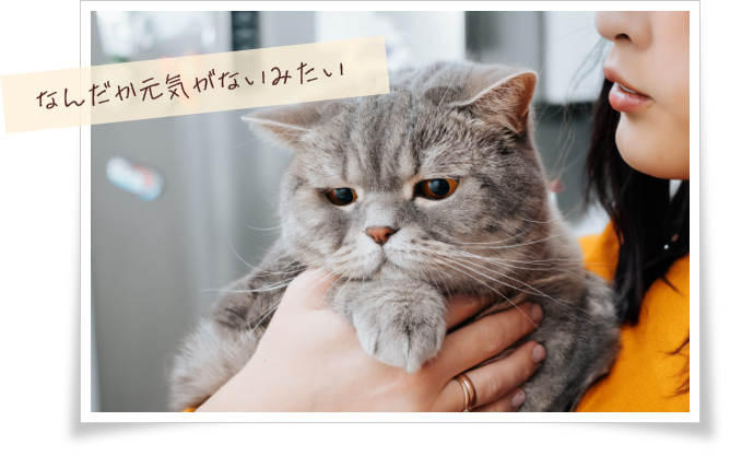 なんだか元気がないみたい