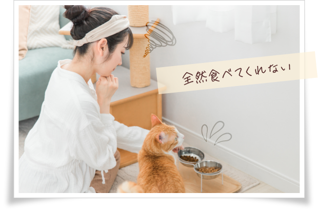 全然食べてくれない