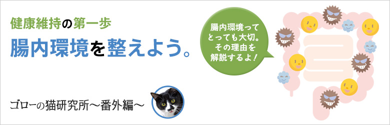 腸内環境特集