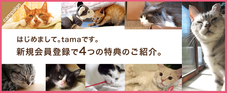 新規会員登録で4つの特典