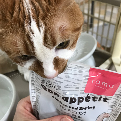 ドライフード｜ボナペティ