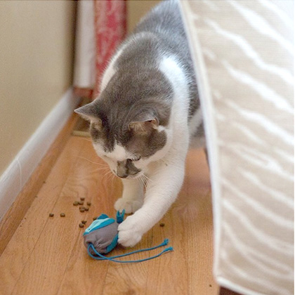 知育トイ|ノー ボウル キャット フィーダー