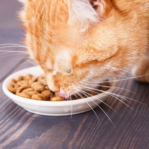 原材料・添加物を確認しよう